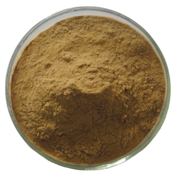High quality natural organic healthy natural dandelion extract powder